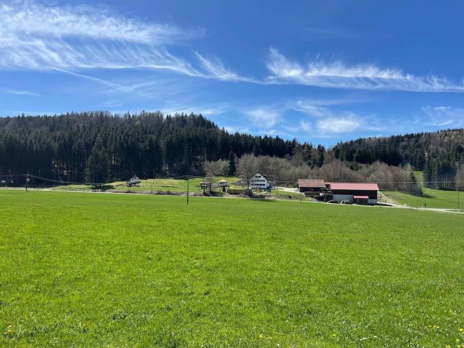 Idyllisches Ferienapartment Allgaeu Bad Grönenbach 外观 照片